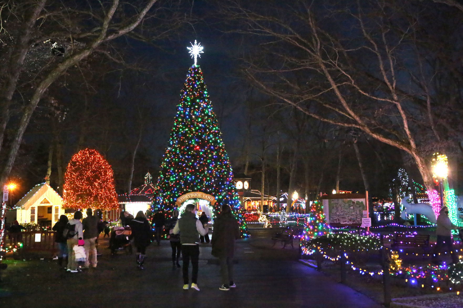 Storybook Land Christmas Fantasy Lights